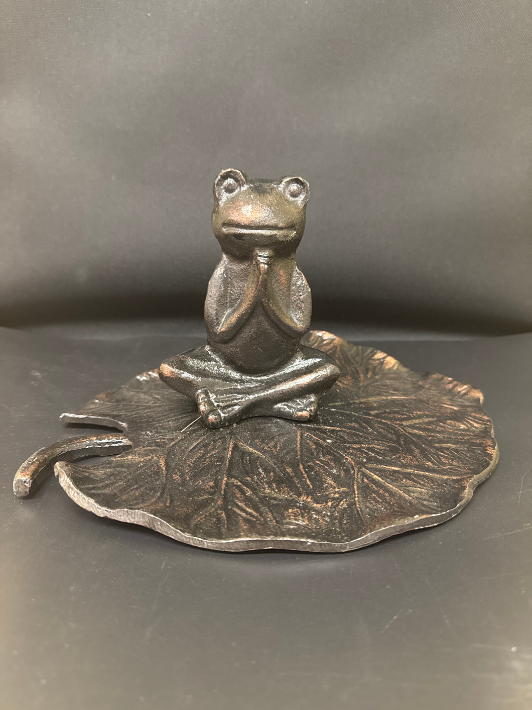 Frog on lotus leaf