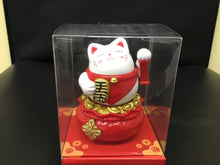 Load image into Gallery viewer, Solar Toy&quot;k
