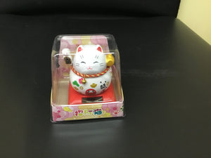 Solar Toy"k