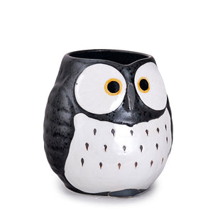 Tea Cup Owl