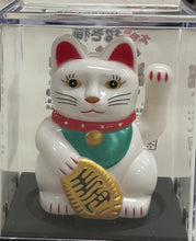 Load image into Gallery viewer, Solar Toy&quot;k
