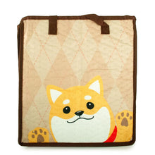 Load image into Gallery viewer, Insulated &amp; Reusable Eco-Bag (small)
