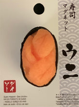 Load image into Gallery viewer, Magnets Japanese
