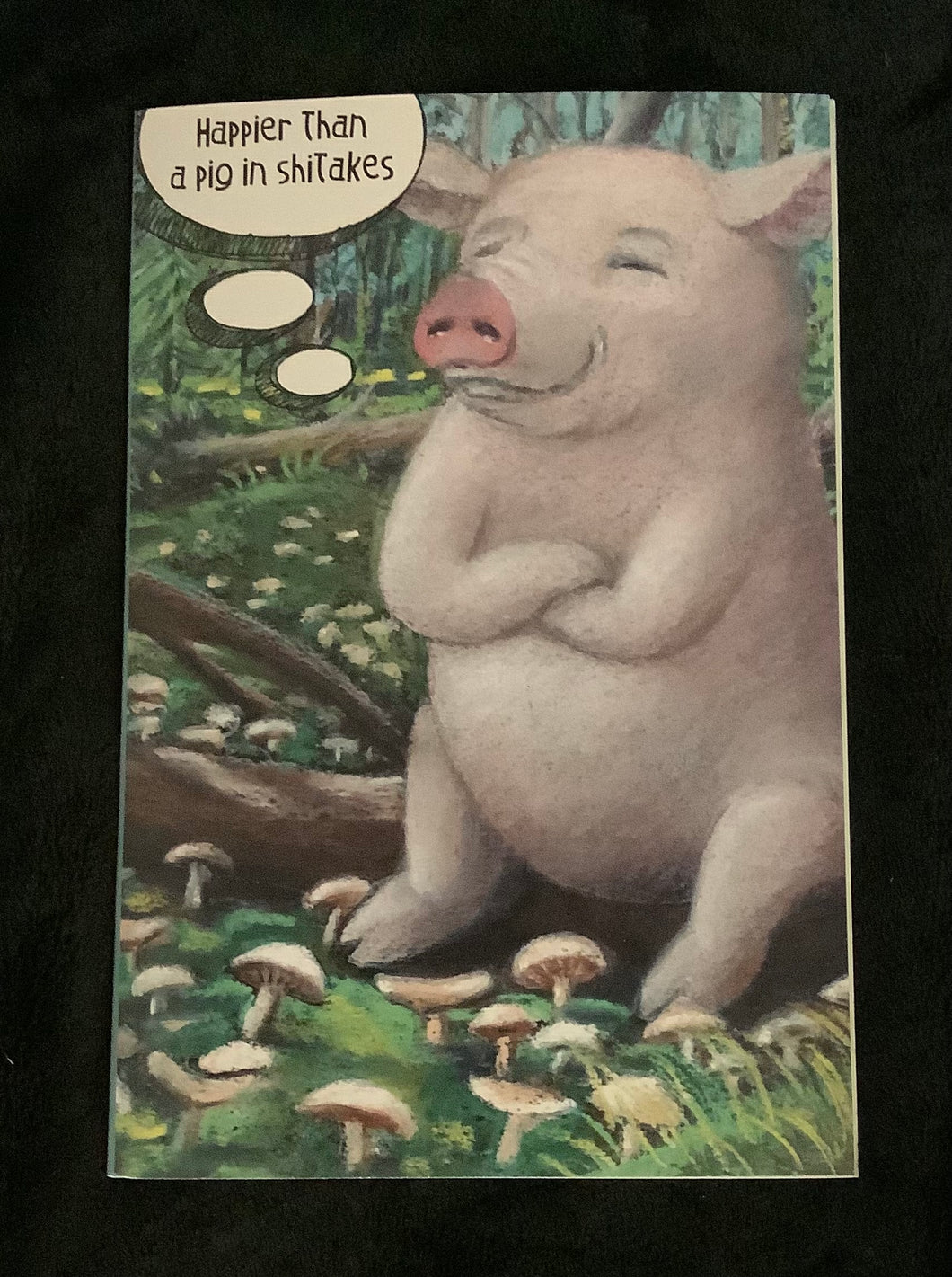 Note Cards