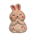 Thankful Rabbit
