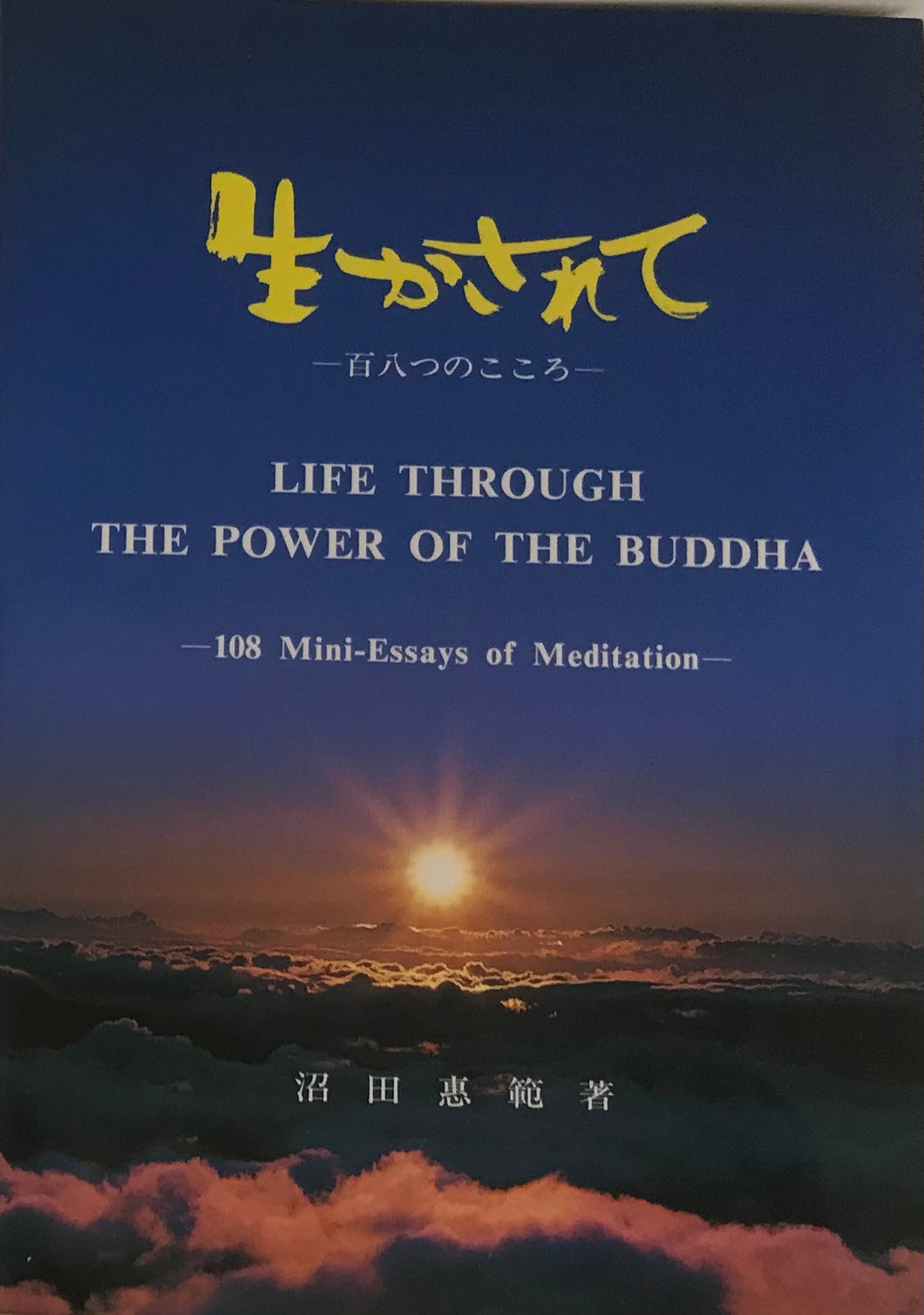 Life Through the Power of the Buddha, 108 Mini-Essays of Meditation