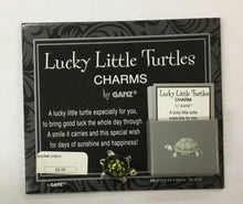 Load image into Gallery viewer, Pocket Tokens for Luck and Inspiration
