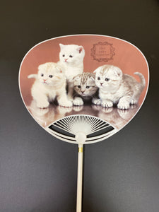 Fan (uchiwa)